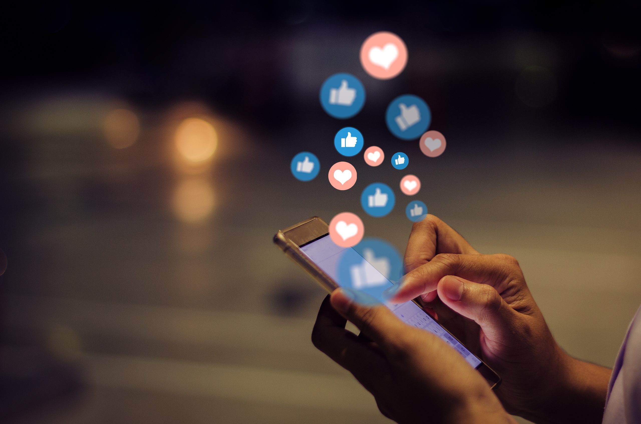 Young woman using smart phone,Social media concept. a young girl holding a leaf