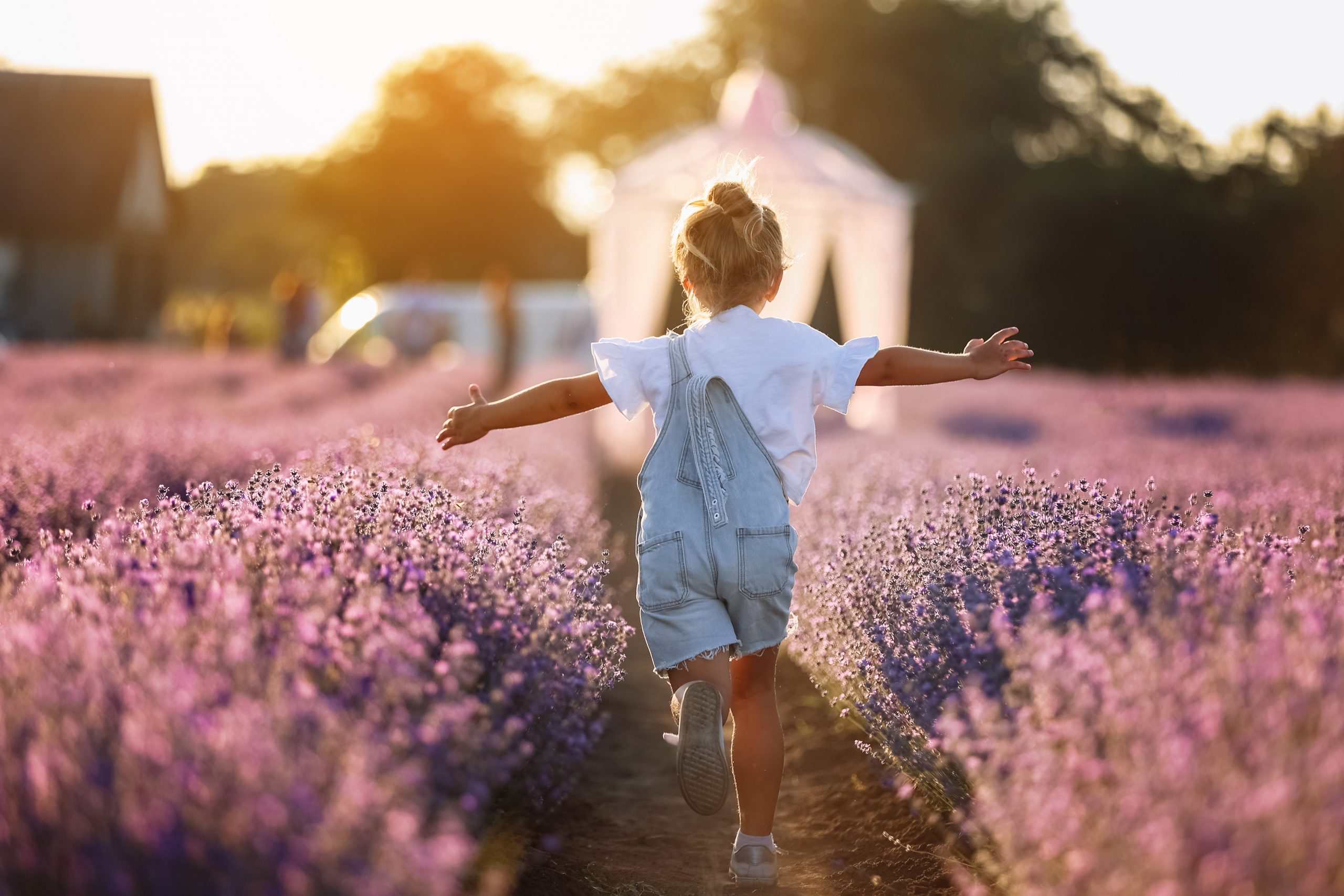Back view of happy child girl runs raising her hands like flying plane in lavender field on summer warm day. Hyperactive little kid in sunglasses dreams of flying in nature. Children's fantasies. a young girl holding a leaf